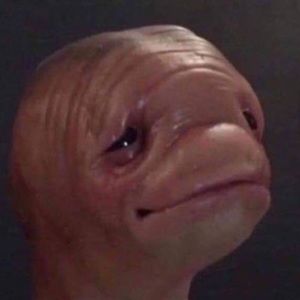 Meet your Posher, Jameir